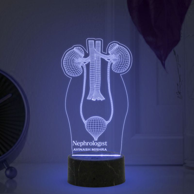 3D Illusion Kidney Led Lamp Nephrologist Kidney Light Multicolored Night Light with Remote Control